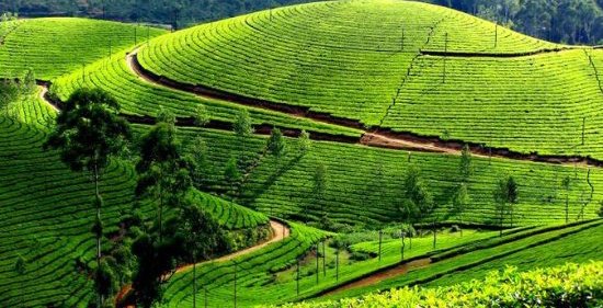 Munnar
