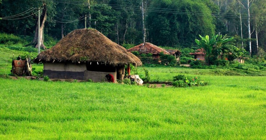 Mystic Kerala